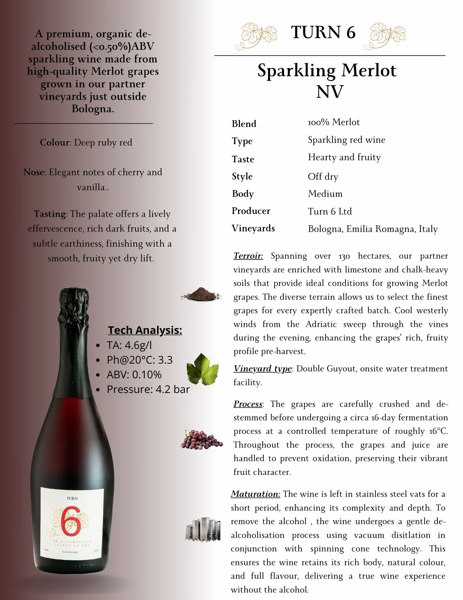 Alcohol-Free Sparkling Red Wine - Image 5